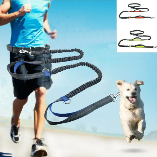 Elastische Hundeleine mit Hüftgurt / Sport mit Hund - MeinBello